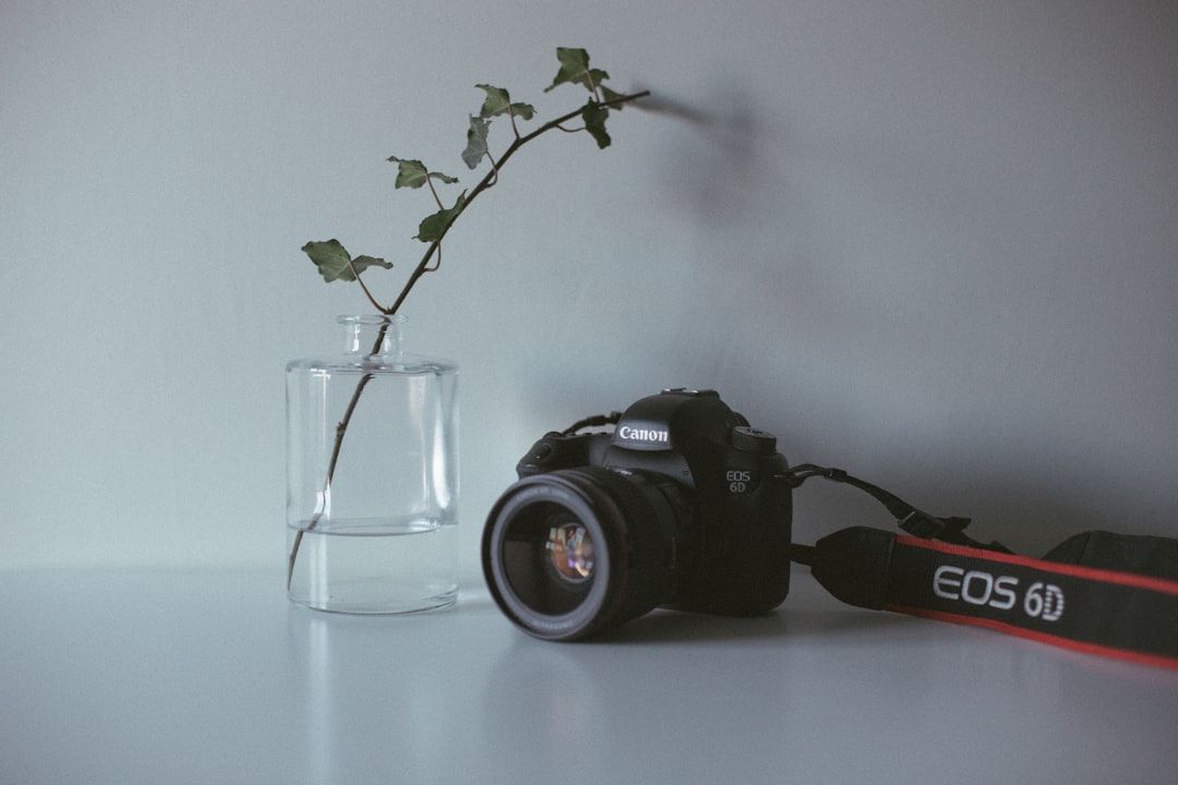 En Canon EOS 6D kamera, et vedbend i en vase på et bord, symboliserer dagligdags valg.